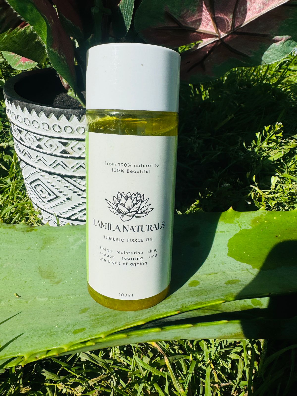 Tumeric Tissue Oil